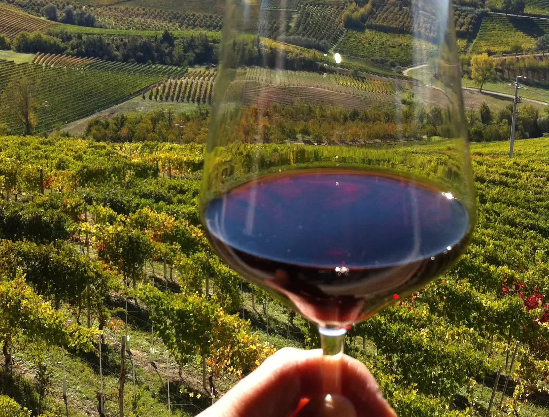 langhe_barbaresco