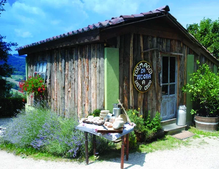 Enogastronomia_Borgomale_Formaggio_Pecora_Cascina_Pistone_Ciabot_Prodotti_Tipici_Nosito_07