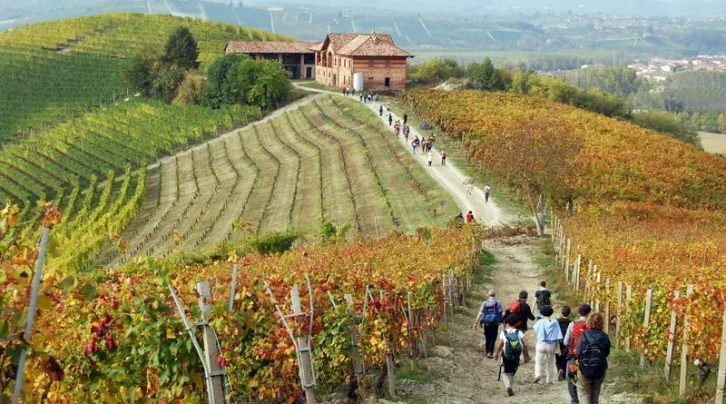 Outdoor_La_Morra_Trekking_Vigneti_Autunno_XX